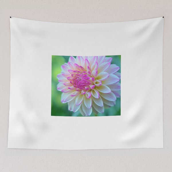 Aperçu de l'œuvre Dahlia Star créée et vendue par Godisgr8t2me.