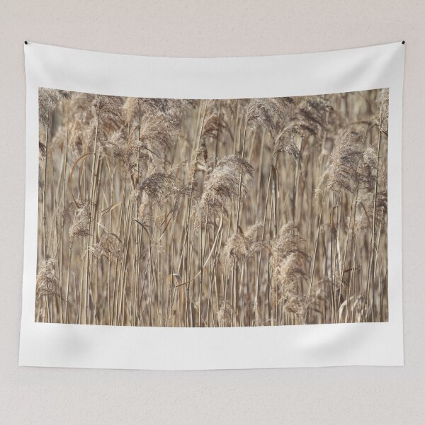 Item preview, Abstract image of dried reeds designed and sold by Seesee.