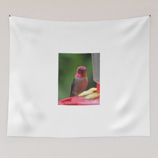 Item preview, RAINBOW COLORED ANNA'S ON PERCH designed and sold by JAYMILO.