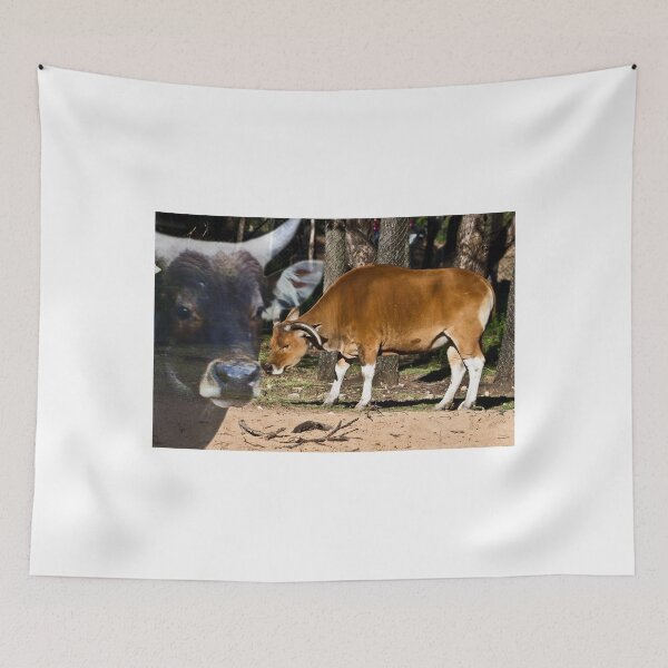 Item preview, Banteng Couple designed and sold by miroslava.