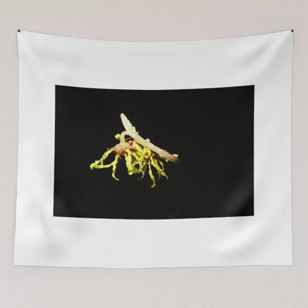 Item preview, Witch Hazel Blossom designed and sold by pluspixels.