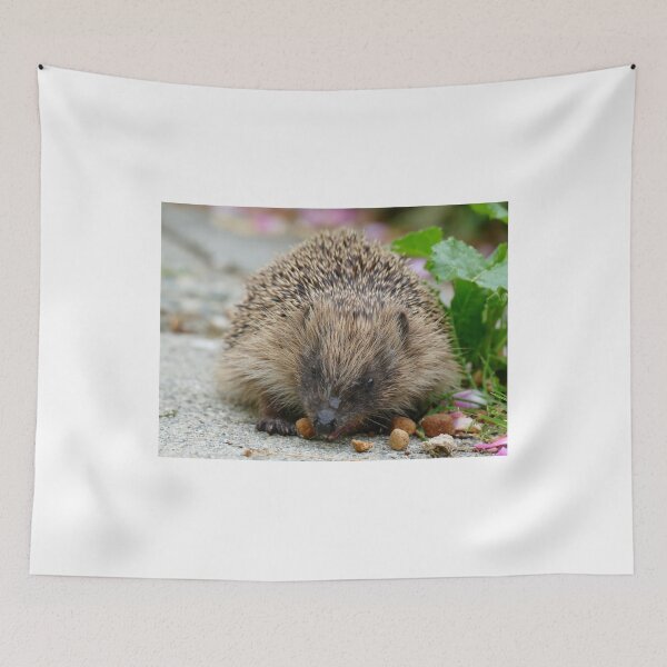 Item preview, Hedgehog NZ designed and sold by AndreaEL.