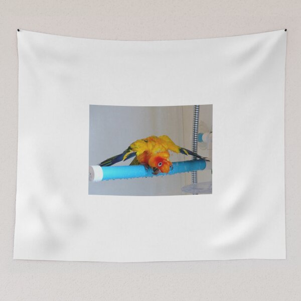 Item preview, Sunshine Shower Time - Sun Conure - NZ designed and sold by AndreaEL.