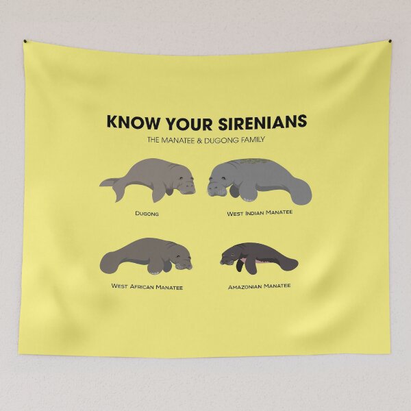 Item preview, Know Your Sirenians designed and sold by Peppermint Narwhal.