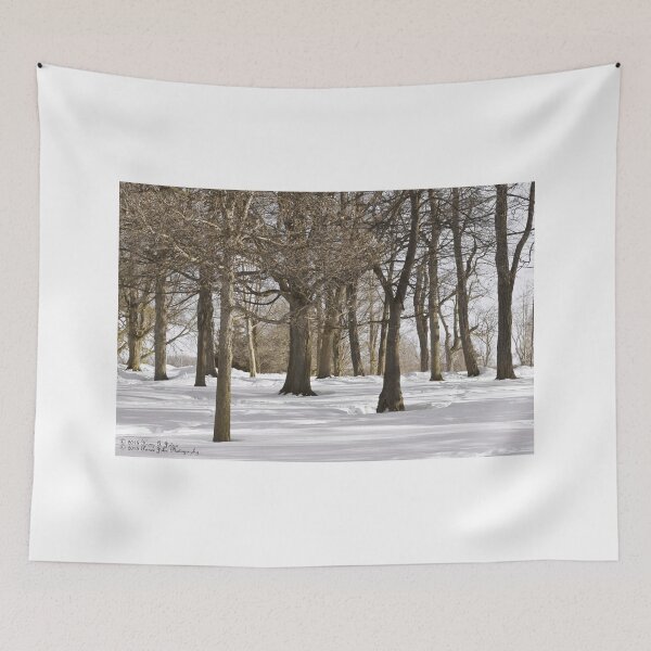 Item preview, For The Love Of Trees - 5 © designed and sold by © Hany G. Jadaa © Prince John Photography.
