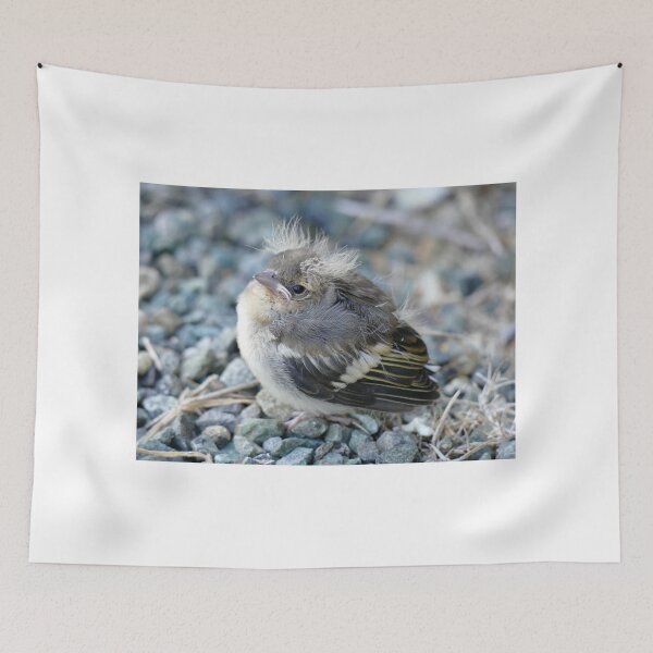 Item preview, Please Don't Step On Me! - Chaffinch - NZ designed and sold by AndreaEL.