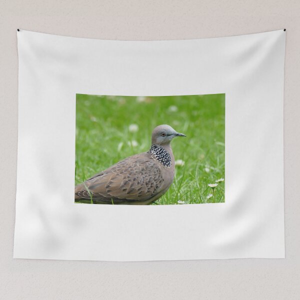 Item preview, Malay Spotted Dove - NZ designed and sold by AndreaEL.