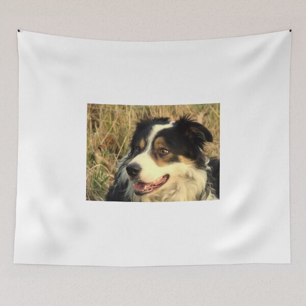 Item preview, The Sweetness of Laddie designed and sold by Michael Haslam.