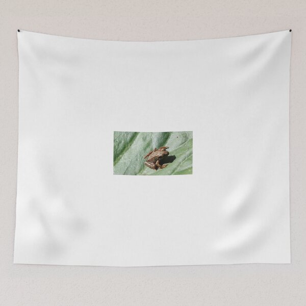 Item preview, frog designed and sold by frogs123.