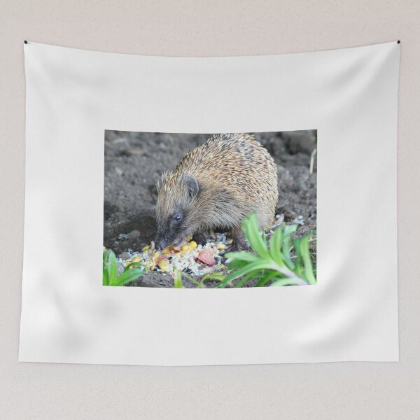 Item preview, I'm A Hungry Hog - Hedgehog - NZ designed and sold by AndreaEL.