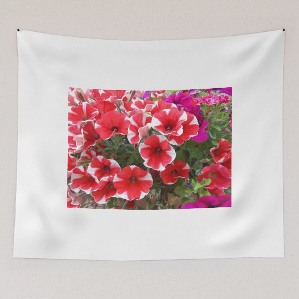 Item preview, Red and White Petunias designed and sold by MidnightMelody.