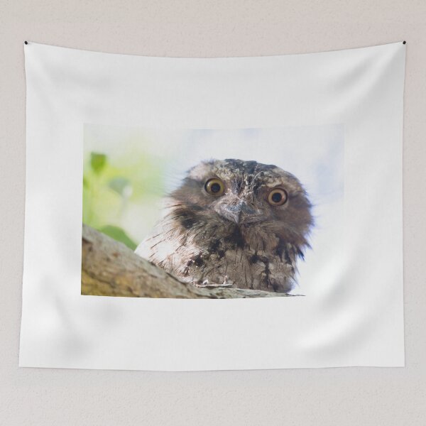 Item preview, I Know You're There designed and sold by byronbackyard.