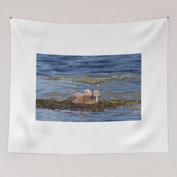 Item preview, Two Napping, One Swimming  designed and sold by byronbackyard.