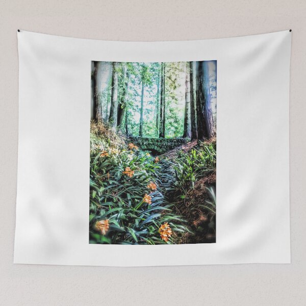 Item preview, Redwood Trees designed and sold by savapavo.