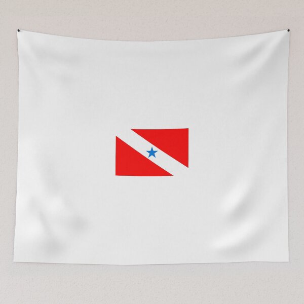 Item preview, Flag of Brazilian State of Para designed and sold by abbeyz71.