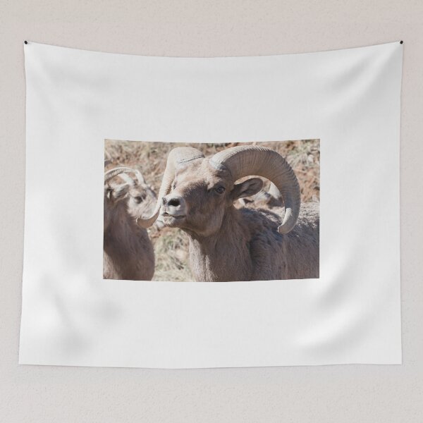Item preview, Toothy grin designed and sold by Greg Birkett.