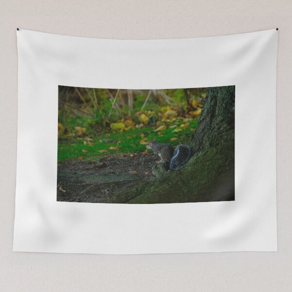 Item preview, Squirrel Nutkin designed and sold by emergentdesigns.