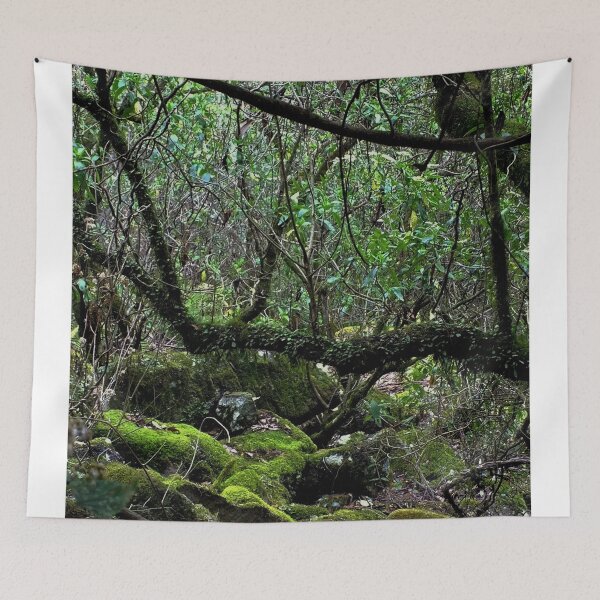 Item preview, Rain forest  at Killarney designed and sold by sandysartstudio.