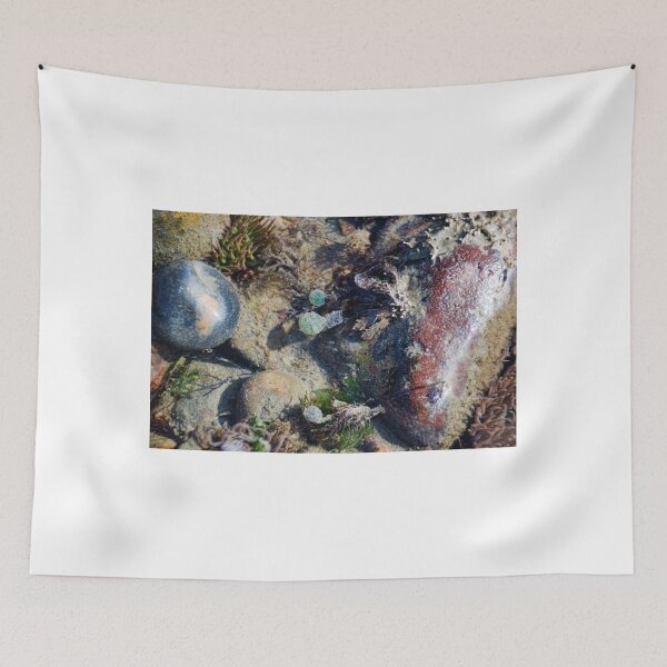 Item preview, Sea Mysteries uncovered by the tide at Lyme Dorset UK designed and sold by lynn carter.