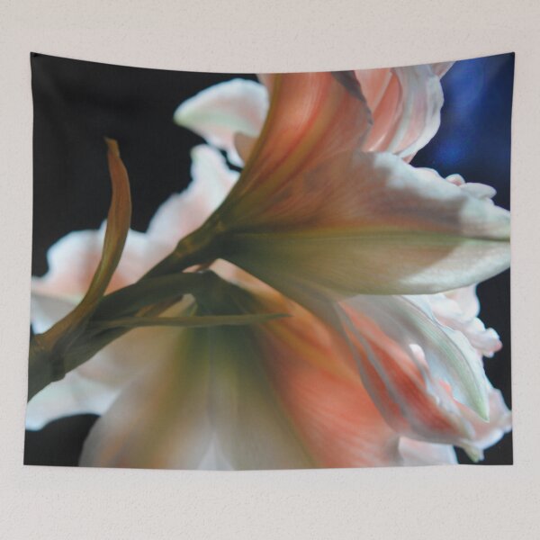 Item preview, Amaryllis in The Spotlight designed and sold by bloomingvine.