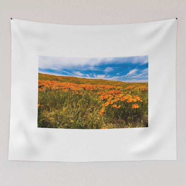 Item preview, Lancaster Poppy Fields, Welcome Spring designed and sold by photosbyflood.