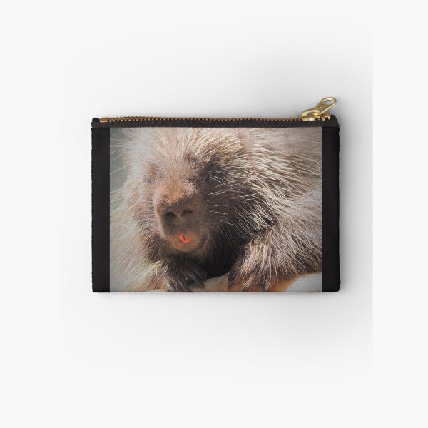 Item preview, North American Porcupine designed and sold by annAHorton.