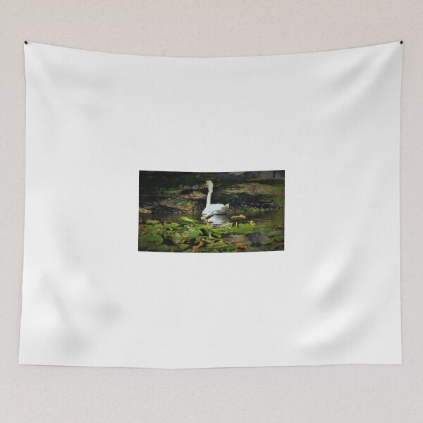 Item preview, Florida Swan designed and sold by TAMalloyPhoto.