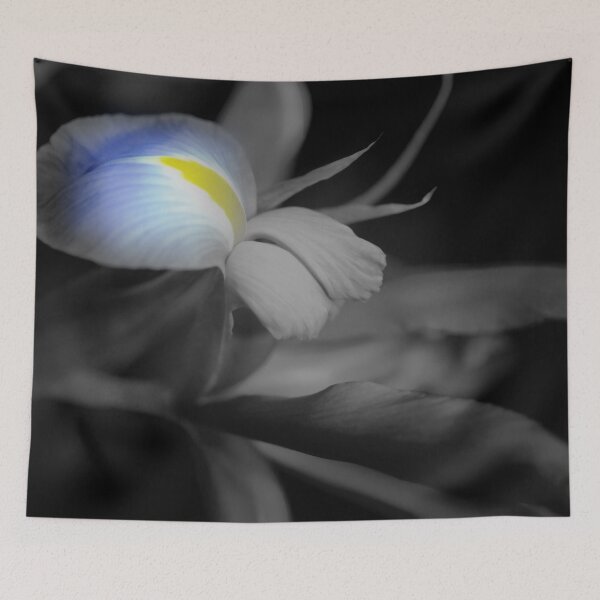 Item preview, Black and White Iris designed and sold by bloomingvine.