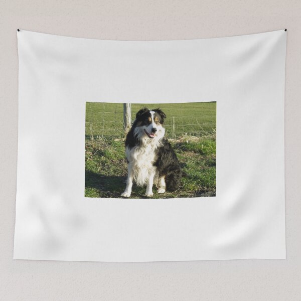 Item preview, Laddie, Mans Best Friend. designed and sold by Michael Haslam.