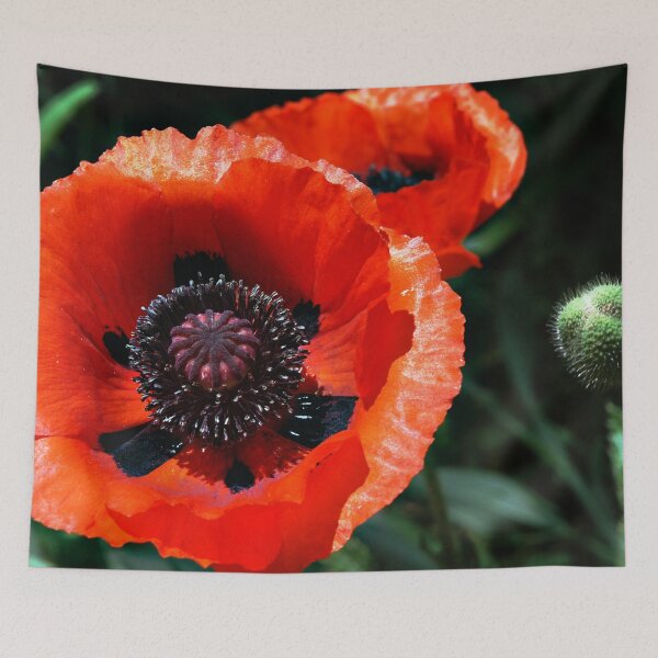 Item preview, Springtime Beauty designed and sold by Holly Werner.
