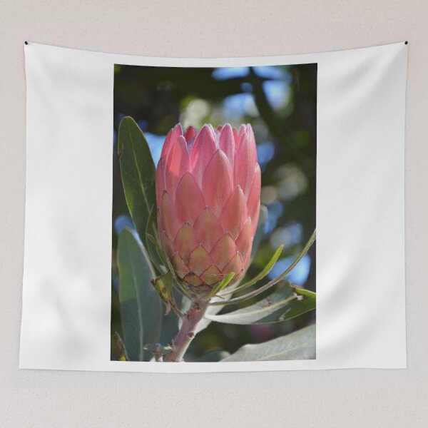 Item preview, PINK PROTEA designed and sold by kazaroodie.