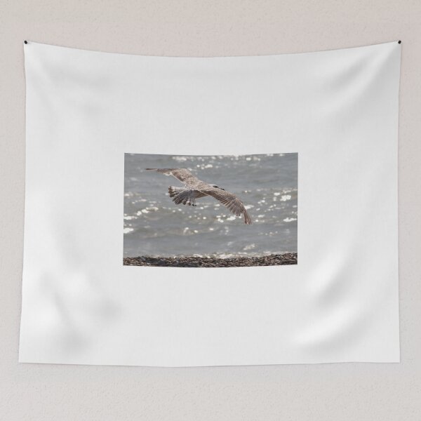 Item preview, Gull at Aldeburgh designed and sold by CWPImages.