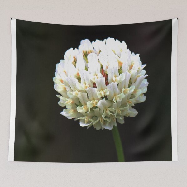 Item preview, Orchid Ball designed and sold by Bob Hardy.