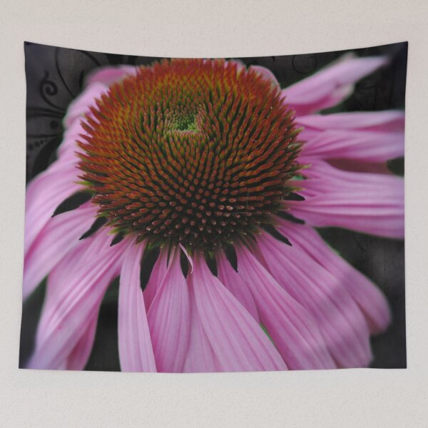 Item preview, Pink Cone Flower on Black designed and sold by bloomingvine.