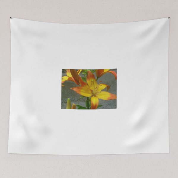 Item preview, Two-colored lily designed and sold by Ana Belaj.