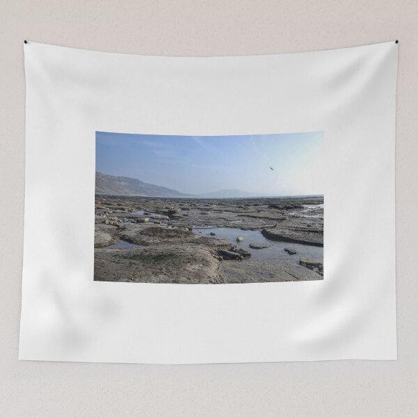 Item preview, Low Tide At Lyme Dorset UK  2015-03-18 designed and sold by lynn carter.