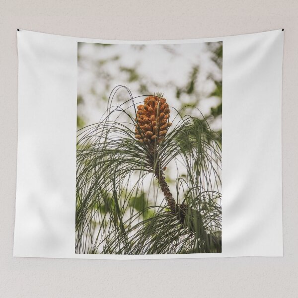 Item preview, Becoming a Pine Cone! designed and sold by heatherfriedman.