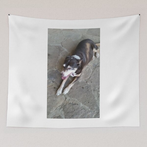 Item preview, ELVIS THE KELPIE - TOO OLD TO ROCK designed and sold by kazaroodie.