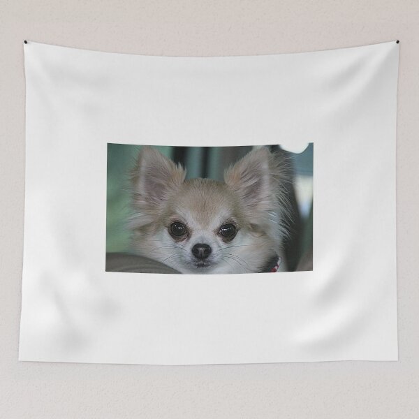 Item preview, Izzy designed and sold by Ladymoose.