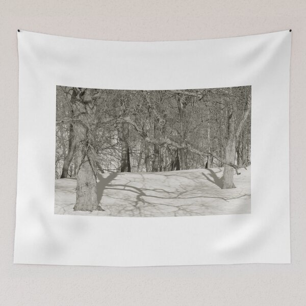 Item preview, For The Love Of Trees - 3 - Monochrome © designed and sold by © Hany G. Jadaa © Prince John Photography.