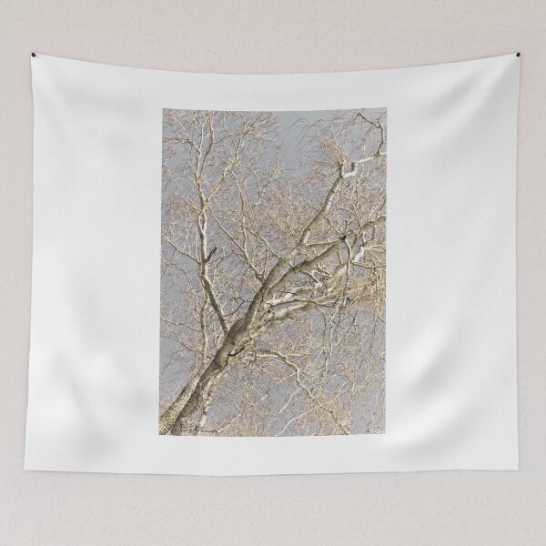 Item preview, For The Love Of Trees - 4 © designed and sold by © Hany G. Jadaa © Prince John Photography.