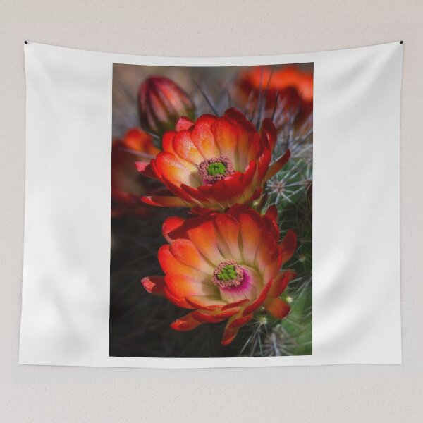 Item preview, Hedgehog Blossoms in the Morning Light  designed and sold by Saija  Lehtonen.