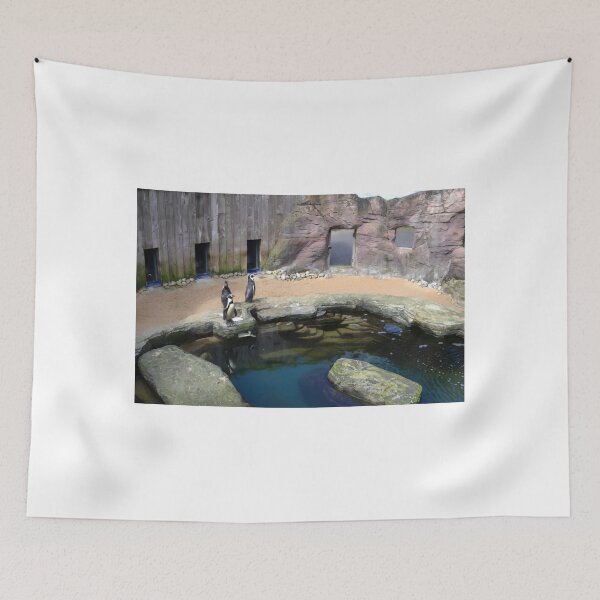 Item preview, Penguin Enclosure at Gweek Cornwall UK designed and sold by lynn carter.