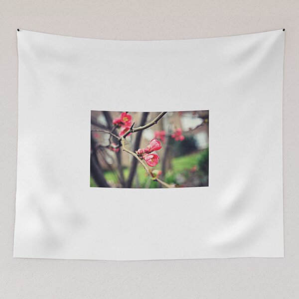 Item preview, Springtime blossoms designed and sold by Ms-Bexy.