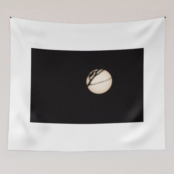 Item preview, Sun Spots and Silhouette  designed and sold by Sandra Chung.