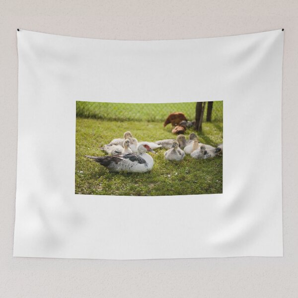 Item preview, Muscovy Duck young birds group designed and sold by Arletta Cwalina.