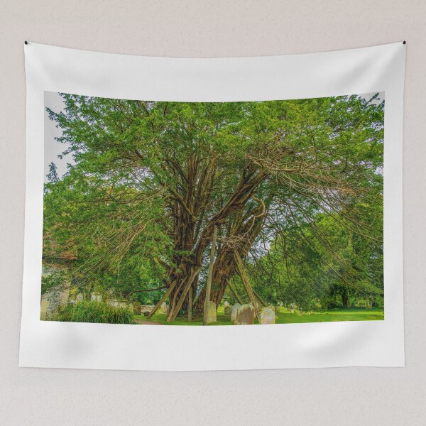 Item preview, Ancient Yew Tree, Wilington Churchyard, East Sussex designed and sold by Mark Bangert.