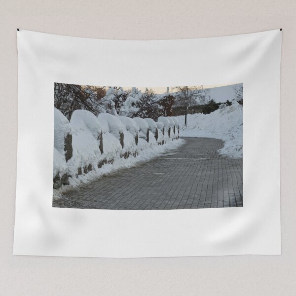 Item preview, Frozen Path © designed and sold by © Hany G. Jadaa © Prince John Photography.