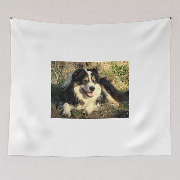 Item preview, Handsome Laddie. designed and sold by Michael Haslam.