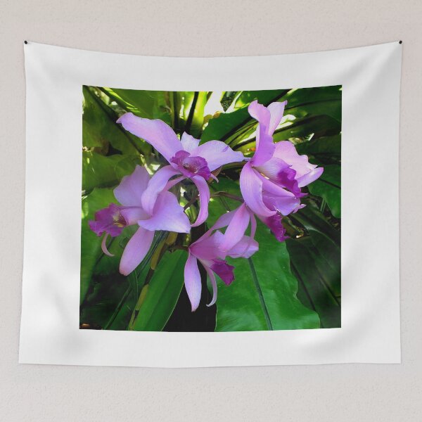 Item preview, Australian Native Orchids. designed and sold by sandysartstudio.
